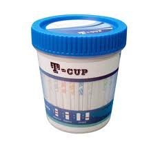 10 Panel T- Cup